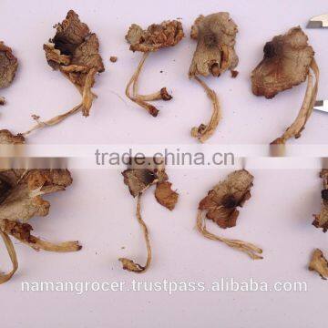 Dried Paddy Straw Mushroom (Volvariella Volvacea) photo-5