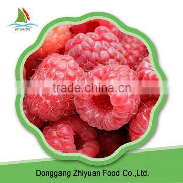 China 2016 new crop IQF frozen red raspberry for export