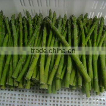 2016 Frozen Green Spring/summer Asparagus Cut/whole From Sunnywellfoods Company photo-3