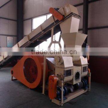 ram-type biomass briquette machine or wood chips pellet making machine factory