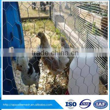 Chicken coop hexagonal wire mesh