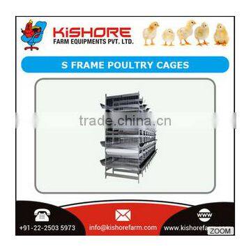 High Tensile Heavy Coated Galvanized Steel S Frame Poultry Cages