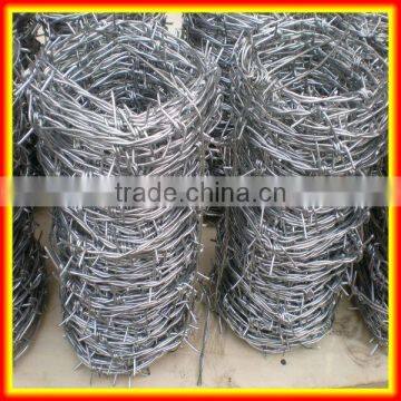 cheap storage 12 x 12 electro galvanized barbed wire