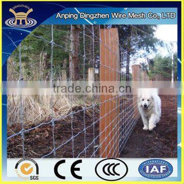 Hot-dipped galvanized Fixed knot wire farm fencing China reliable supplier