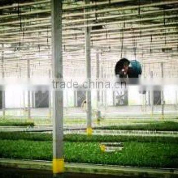 Newest Air Circulation Fan for Greenhouse or Poultry photo-5