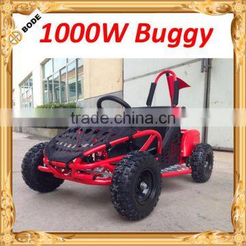 New style 1000W electric go kart for sale