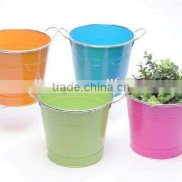 decorative/multifunctional metal bucket with competitive price