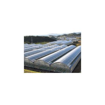 PE Greenhouse Film