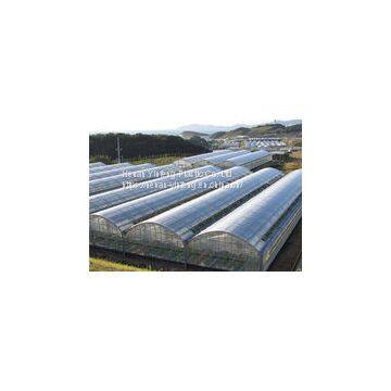 PE Greenhouse Film