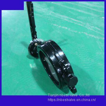 Steel Lever Wafer CI Body Butterfly Valve Coating Proof Corrosion Paint photo-2