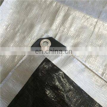 Pe tarpaulitarpaulin sheet for sale