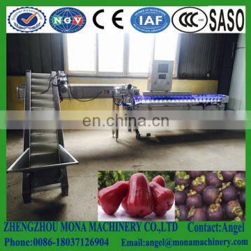 MONA Brand citrus Mandarin orange weight Sorting Machine and weight grading machine for sale