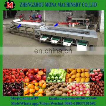 3ton/h food grade industrial fruit fish cassava fruit washing grading waxing machine