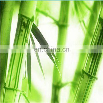 Best Fitted Sheet Manufacturers Custom Baby Adult Waterproof Beg Bugproof Breathable Mattress Cover Protector photo-6