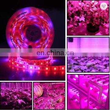 China Led Phyto Lamps DC12v Grow Flexible Light Strip Full Spectrum for Plants Flowers Greenhouses Hydroponic