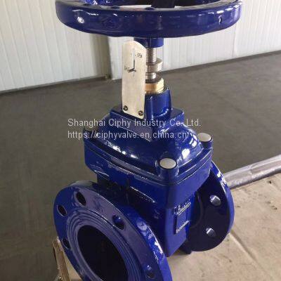 AWWA C509 Non-Rising Stem Resilient Gate Valve (IGAWWA-NRSS) photo-5