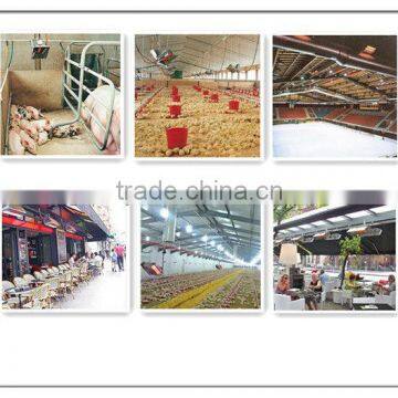 Flameless Infrared Baby Chicken Brooder Gas Burner Parts (HD2606) photo-6