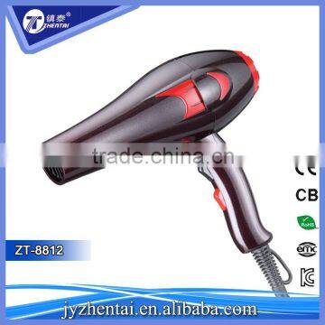 ZT-8812 Hair Dryer Hot Sale New Pro Super Hair Dryer Wet 2 Dry Hand Dryer