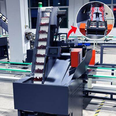 Particle Packaging Machine Counting Packaging Machine