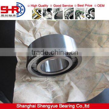 Double row lip seals filled roller bearing SL045008PP bearing