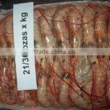 Red Shrimp (argentina) photo-2
