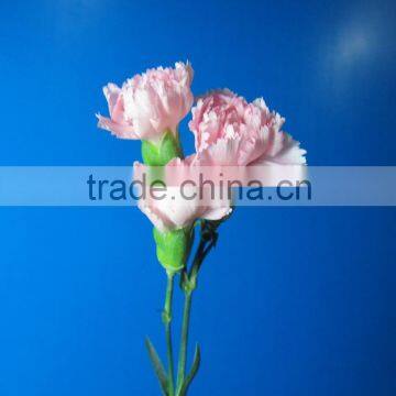 Pure and Mild Flavor Promotional 2015 Carnation photo-2