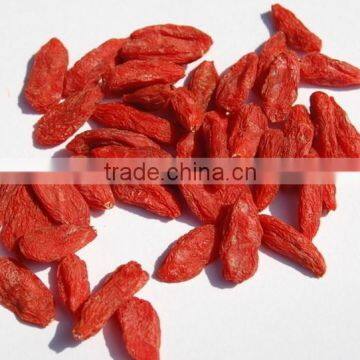 Boxthorn,Ningxia Yishaotang Goji berry dried fruit to export,Dried Goji berries fruit Ningxia Dried Goji berry nutrition