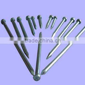 polished common iron nails manufacturer more than 20 years