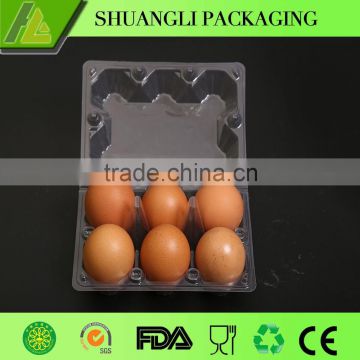 Wholesale plastic egg packaging cartons 6 cells