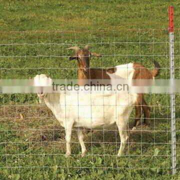 hot sale special high quality cattle fence in 2014