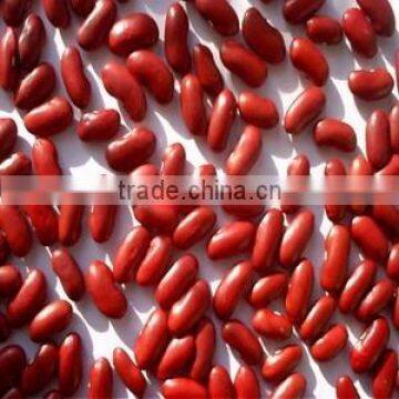 New crop small red beans with good quality for sale