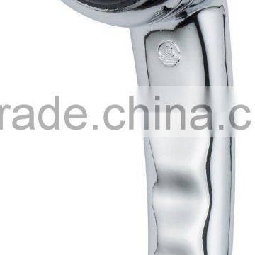 Handheld Shower Head