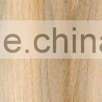 Ceramics Tile in Injekt Wood (PMW12B02)