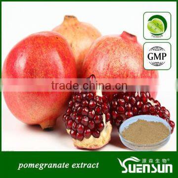 pure pomegranate extract pomegranate peel powder