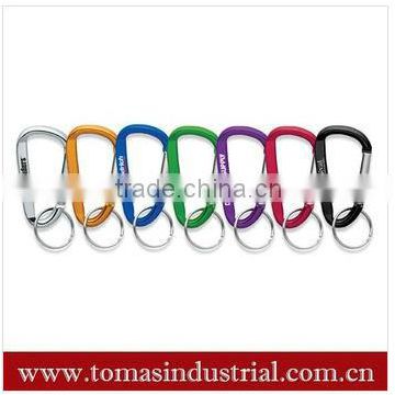 Colorful Metal Carabiner Keychain with Logo