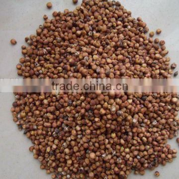 Well choose red sorghum with highest qualtiy on hot sale