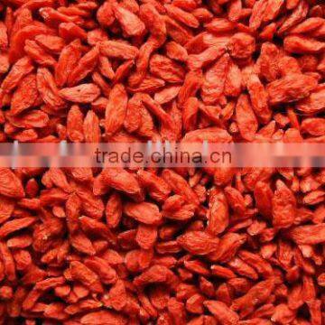 Chinese Goji Berry(655)