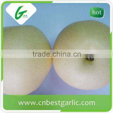 Chinese crystal bulk fresh crown pear