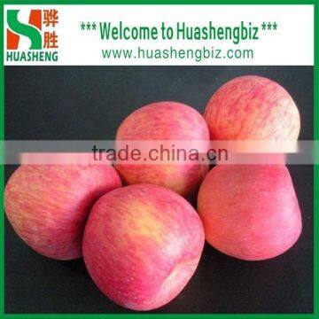2016 New Season Juicy Grade A selected fresh apples for sale