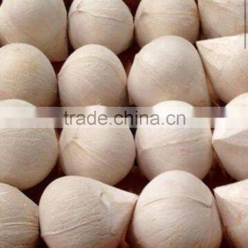 Fresh green young coconut
