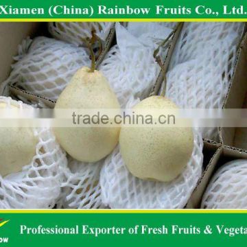 Ya Pear supplier, Asian Pear, Fresh Pear from China