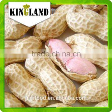 2015 Chinese top peanut in shell