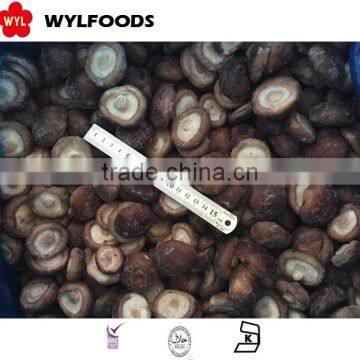 supply shiitake mushroom whole Frozen IQF in China market