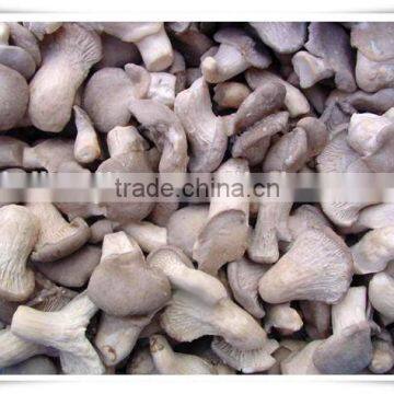Cultivated Crops /100% Natural China Health Food Mushroom photo-5