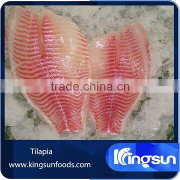 Whole Sale High Qulity Frozen Tilapia Fish Fillet