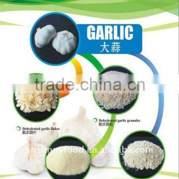 Professional Garlic Supplier Natural Garlic