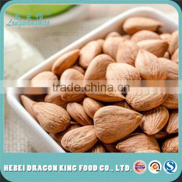 Dry Sweet Apricot Kernel Seeds