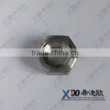 China factory production 1.4529 fastenersstainless steel ANSI B18.2.2 hex nut