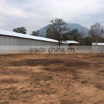 Charcoal Best BBQ Burning Long Time photo-5