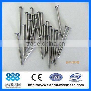 Bright Common Iron Nails (Manufacturer)